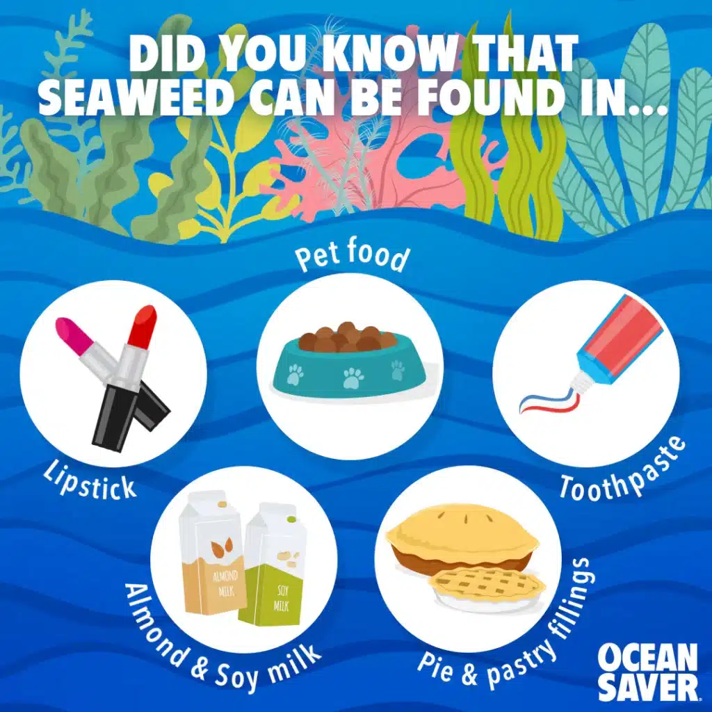 Seaweed products: found in pet food, toothpaste, lipstick, almond & soy milk, pie fillings. Ocean Saver infographic.