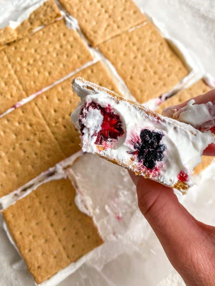 Delicious homemade s'mores with berries and marshmallow on graham crackers, perfect for a sweet treat.