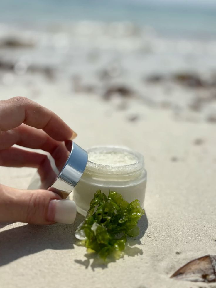 Open jar of skincare cream with seaweed on sandy beach background.