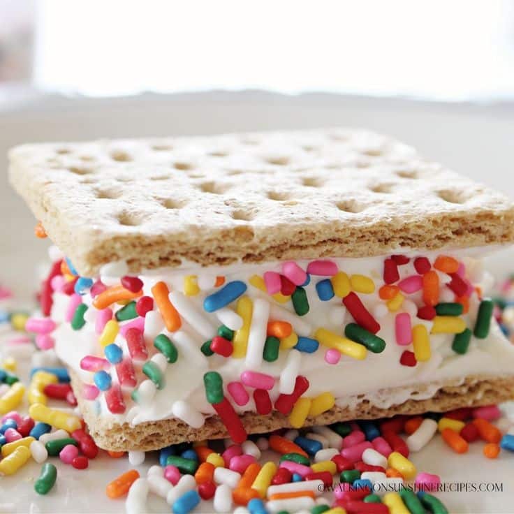 Ice cream sandwich with colorful sprinkles between graham crackers, a sweet and vibrant dessert treat.