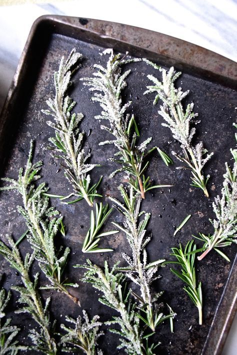 Sugared Rosemary _ Ruff Details Blog - Festive & Easy: Master the Perfect Pomegranate Paloma Frosted rosemary sprigs on a baking tray, perfect for holiday cooking or festive garnishing ideas.