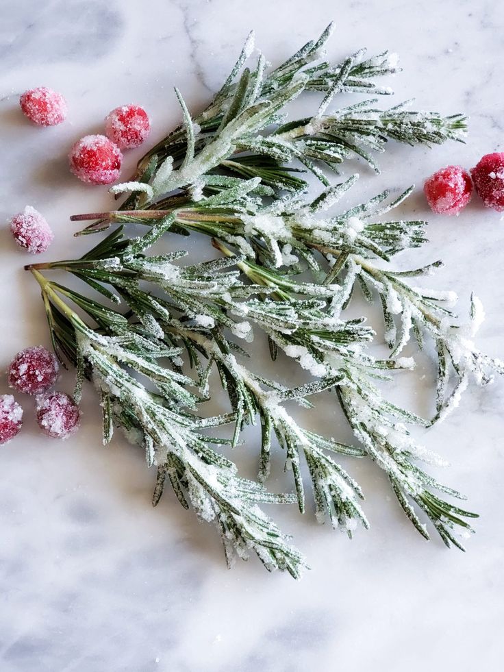 Sugared Rosemary_ The Prettiest Little Garnish - Festive & Easy: Master the Perfect Pomegranate Paloma Frosted rosemary sprigs and sugared cranberries on marble surface, perfect for holiday decoration inspiration.